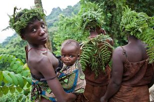 Ituri : Des dizaines de femmes pygmées victimes des violences sexuelles à Djugu